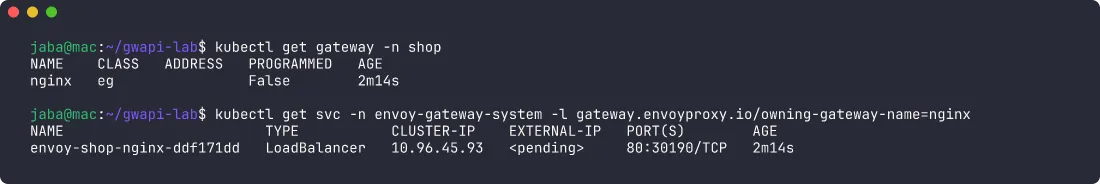 Terminal: the Gateway with no address and PROGRAMMED False, and the Envoy LoadBalancer Service with EXTERNAL-IP pending